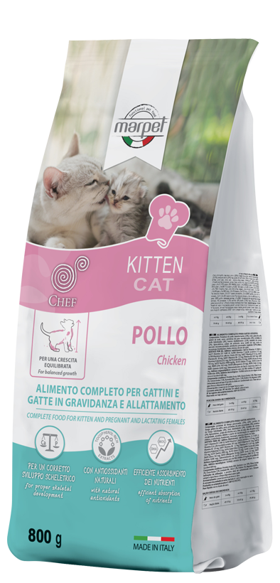 Gatto chef kitten pollo 800