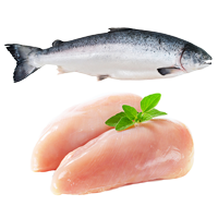 Ingredienti pollo e pesce